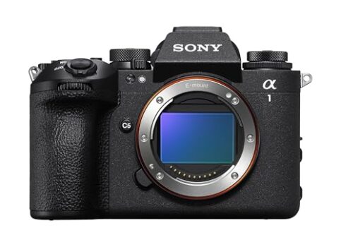 Canon EOS Rebel T7 DSLR Camera with 18-55mm Lens