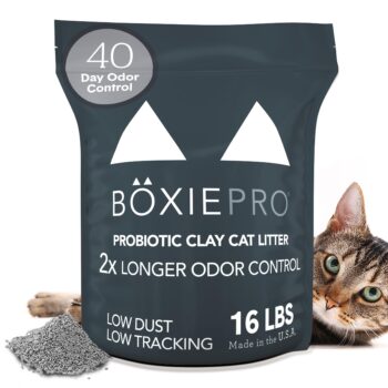 Boxie Probiotic Cat Litter Performance Guide: The Ultimate 40-Day Odor Control?