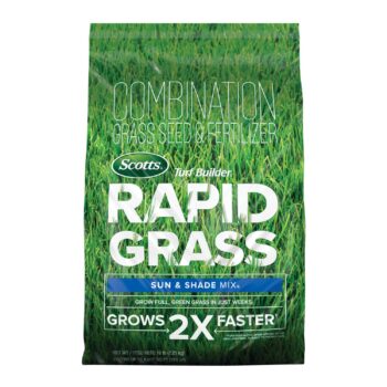 Scotts Turf Builder Rapid Grass Review (31% Discount): Grows Green Grass Fast