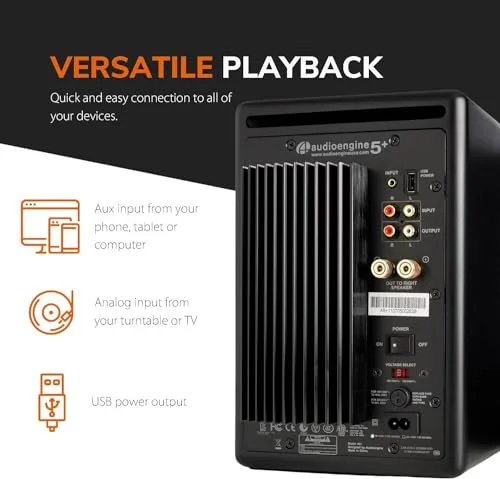 Audioengine A5+ Rear Panel Connections