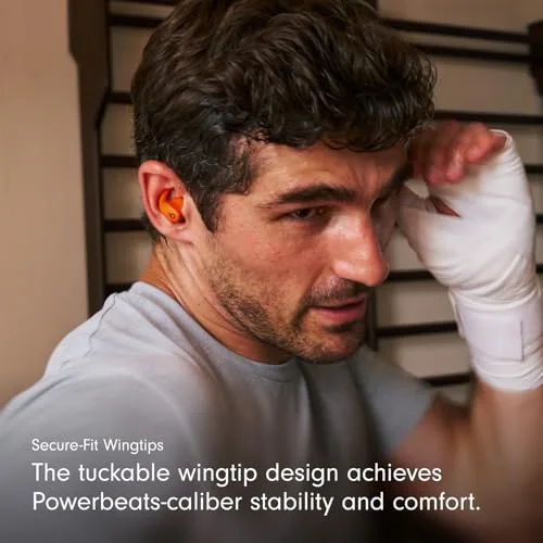 Beats Powerbeats Fit Case and Buds