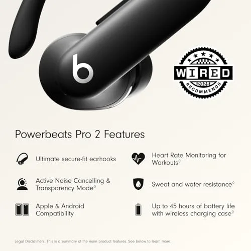 Beats Powerbeats Pro 2 Earhook Detail