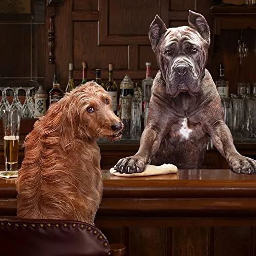 A depiction of the whole grains included in the Fromm Gold formula