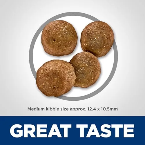 A graphic illustrating how prebiotic fiber supports a healthy gut microbiome