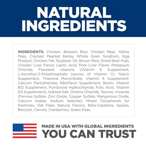 A happy and healthy adult dog with a shiny coat