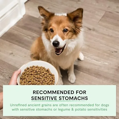 A collage of the non-GMO fruits, veggies, and superfoods in the formula