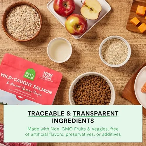 A happy and healthy adult dog enjoying its meal