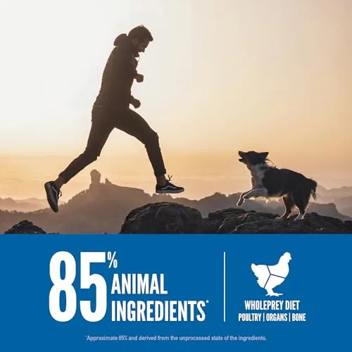 A graphic outlining the key health benefits of ORIJEN dog food