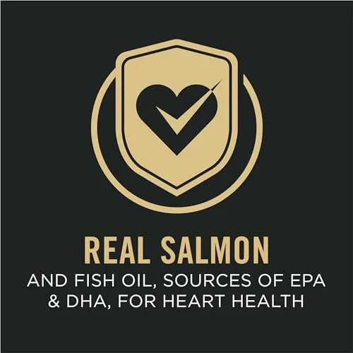 A graphic illustrating the benefit of live probiotics for digestive and immune health