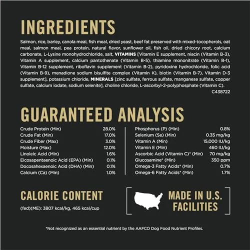 A close-up of the small, nutrient-dense kibble