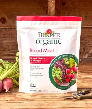 Burpee Organic Blood Meal Review: Top 2025 Good Fertilizer for Lush Growth