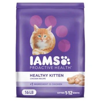 IAMS Healthy Kitten Dry Cat Food Review: The Ultimate Start for Your Feline Friend