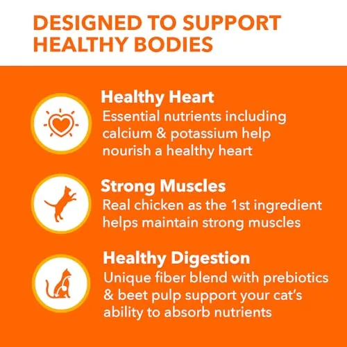 IAMS Proactive Health Adult Healthy Dry Cat Food with Chicken, 22 lb. Bag