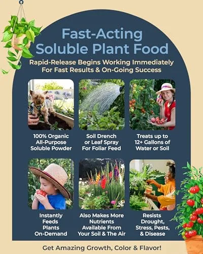 Organic Plant Magic Roots and Mycorrhizae