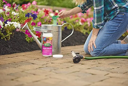 Application of Super Bloom