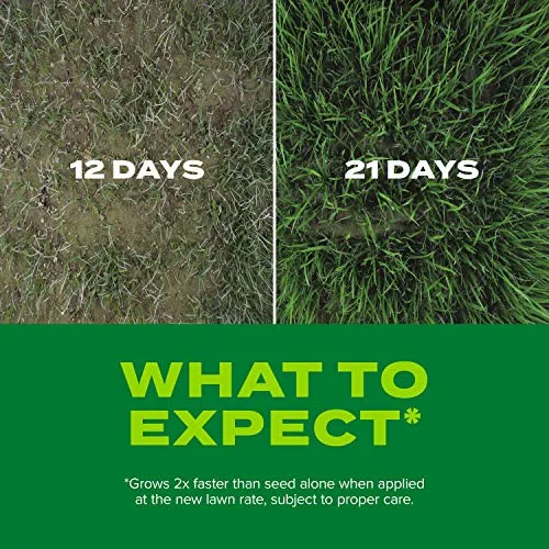 Scotts Turf Builder Rapid Grass Sun and Shade Mix, Combination Grass Seed and Fertilizer, Grows Green Grass in Just Weeks, 16 lbs.