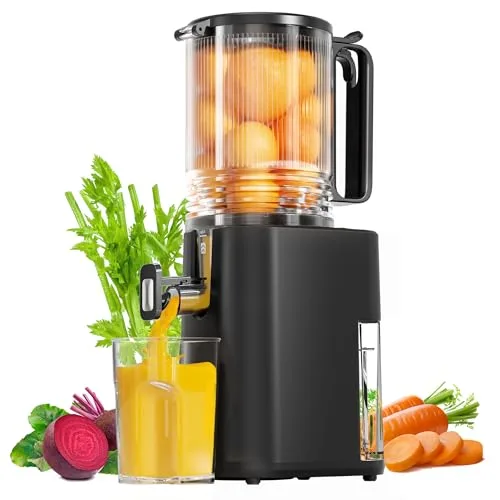 Cold Press Juicer Front View