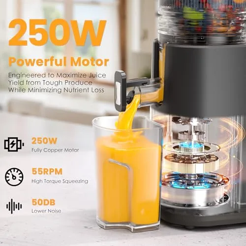 Juicer Components Breakdown