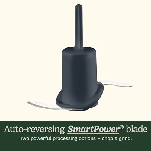 Cuisinart Mini-Prep Plus Blade Detail