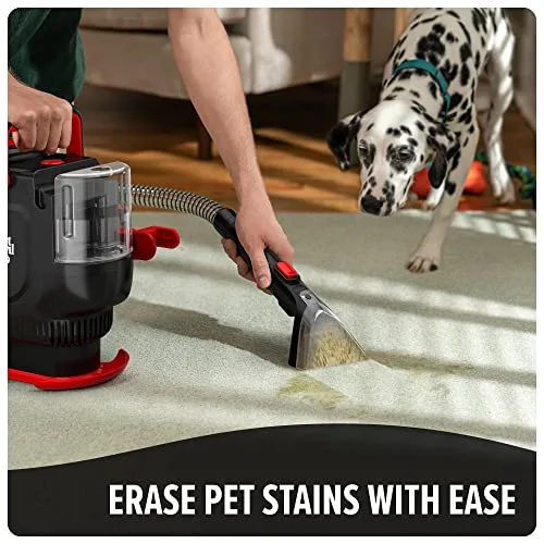 Dirt Devil Cleaning Pet Messes on Carpet