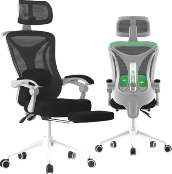 Ergonomic Reclining Office Chair Review: Work, Nap, Repeat