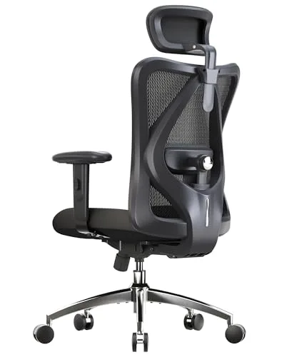 SIHOO M18 Ergonomic Office Chair for Big and Tall People Adjustable Headrest with 2D Armrest Lumbar Support and PU Wheels Swivel Tilt Function Black
