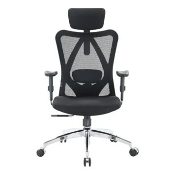 SIHOO M18 Office Chair Review: Big & Tall Value?