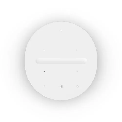 Diagram showing the internal dual-tweeter and woofer architecture