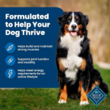 Best Blue Buffalo Life Protection Formula Dog Food Review (2025)