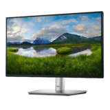 Dell 24 Monitor (P2422H) Performance Review 2025